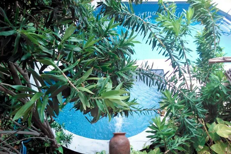 Safari Natal Beach Hotel 3*,